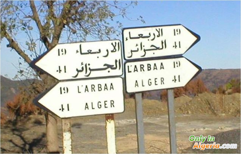 Tous les chemins mènent à Alger