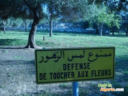 Défense de toucher aux fleurs