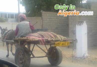 la nouvelle voiture 