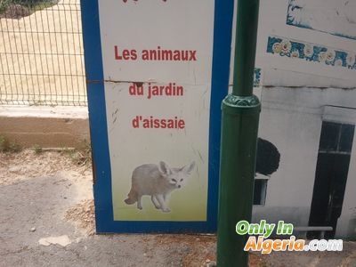 Animaux du jardin d'aissaie