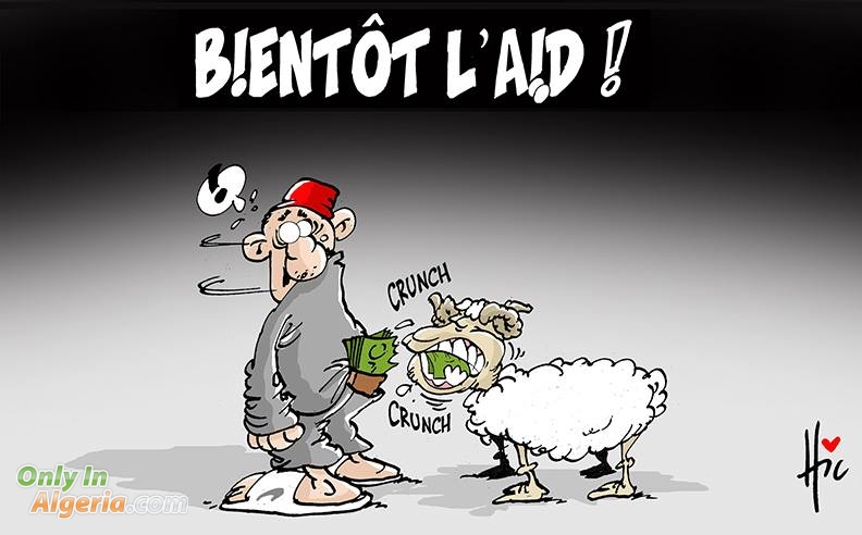 L'algérien et le mouton de l'Aïd