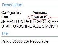 Vend chiot en bon état